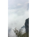 张家界567