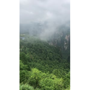 张家界568