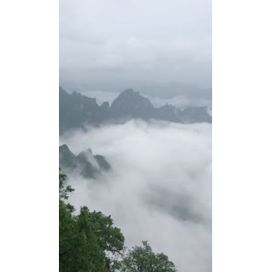 张家界590