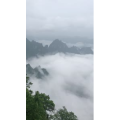 张家界590