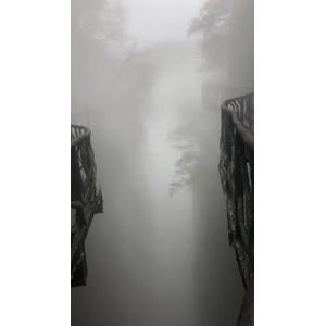 张家界595