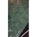 张家界597