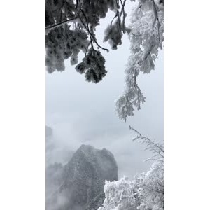 张家界603