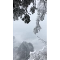 张家界603