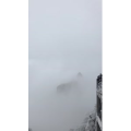 张家界607