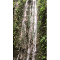 张家界612