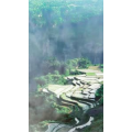 张家界622