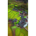 张家界644
