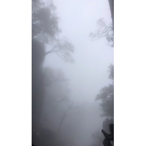 张家界650