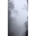 张家界650