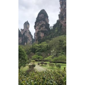 张家界665