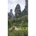 张家界665