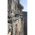 张家界667