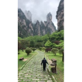 张家界685