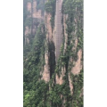 张家界690