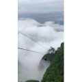 张家界701