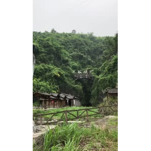 张家界705