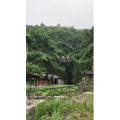 张家界705