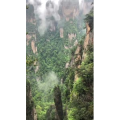 张家界719