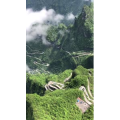张家界720
