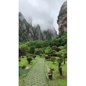 张家界725