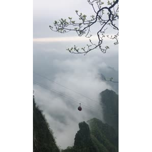 张家界726