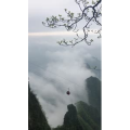 张家界726