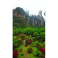 张家界730