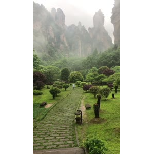 张家界731