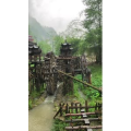 张家界736