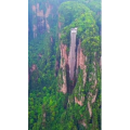 张家界737