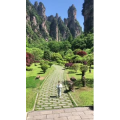 张家界739