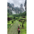 张家界747