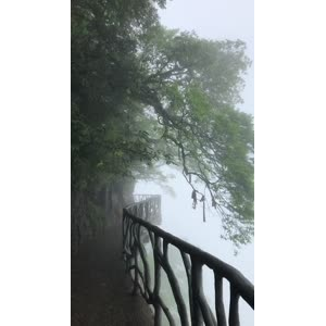 张家界753