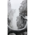 张家界763