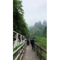 张家界767