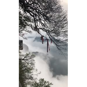 张家界768