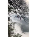 张家界768