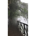 张家界770