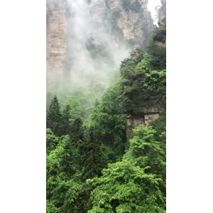 张家界771
