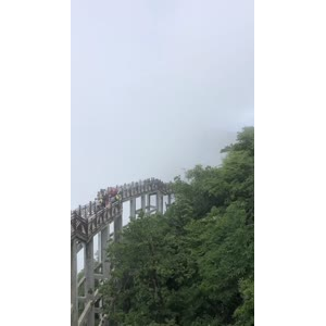 张家界772