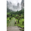 张家界776