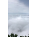 张家界780
