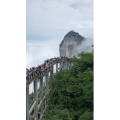 张家界781