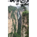 张家界791