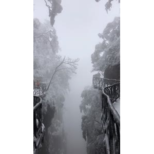 张家界796