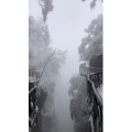 张家界796