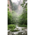 张家界797