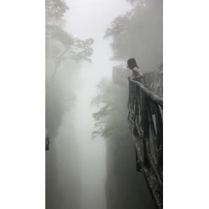 张家界799