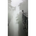 张家界799